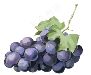 紫葡萄水果