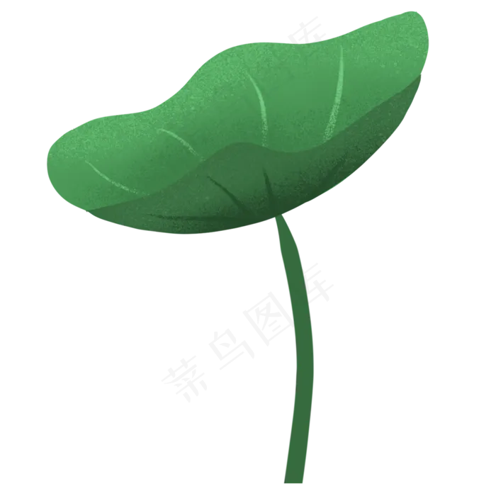 植物立夏绿色荷叶免抠图(2000X2000(DPI:300))psd模版下载