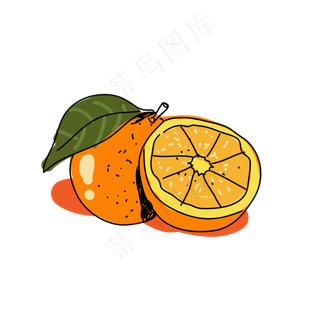 手绘速写橙子PNG
