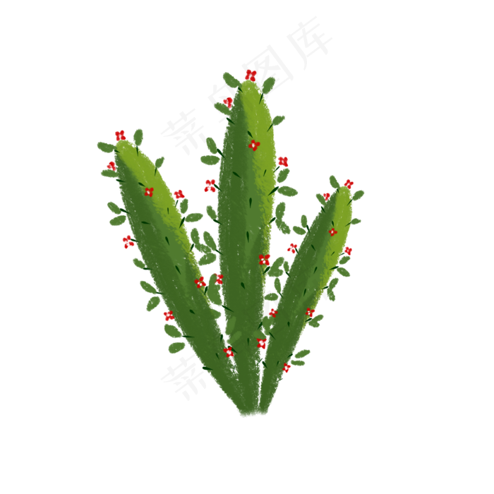 绿色植物叶子仙人掌叶子透明底免(2000X2000(DPI:299))psd模版下载