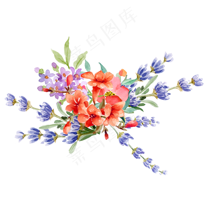水彩花手绘