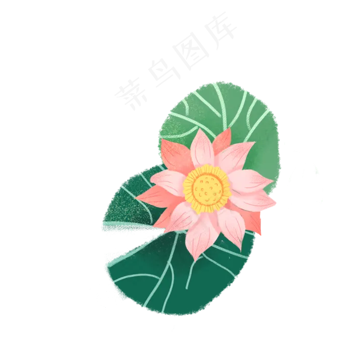 荷叶衬托着盛开的荷花(2000X2000(DPI:300))psd模版下载