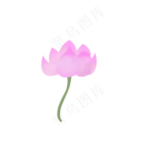 夏天手绘粉色荷花花苞