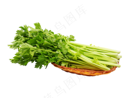 绿色蔬菜芹菜,免抠元素