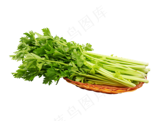 绿色蔬菜芹菜,免抠元素