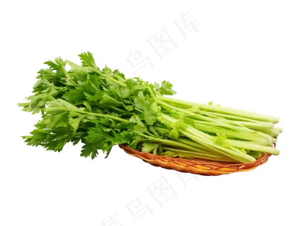 绿色蔬菜芹菜,免抠元素 绿色蔬菜芹菜,免抠元素