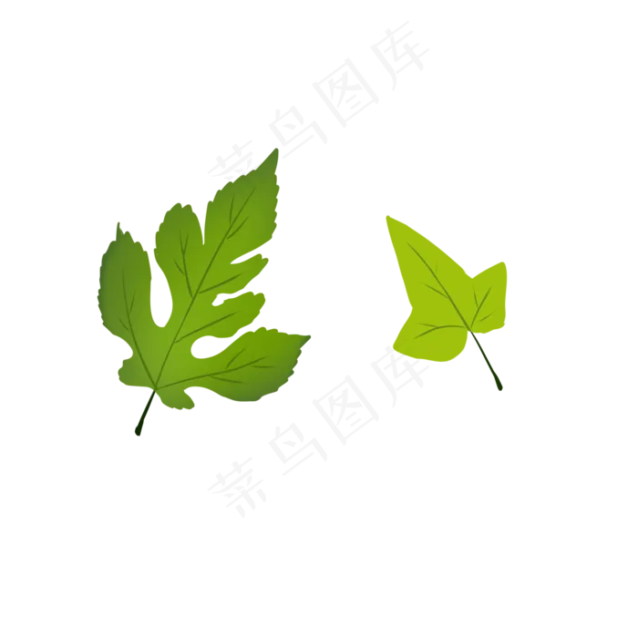 绿化树叶植树节素材