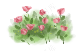 七夕情人节手绘玫瑰