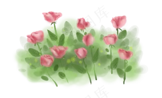 七夕情人节手绘玫瑰