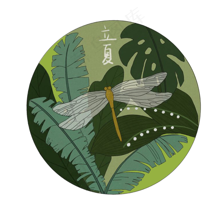 立夏二十四节气农历蜻蜓树林丛林,免抠元素