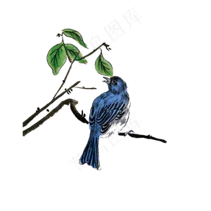国画水墨工笔蓝色雀鸟PNG,免抠元素