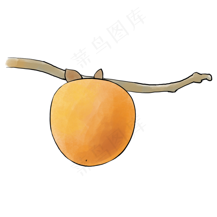 手绘水果桔红色美味柿子