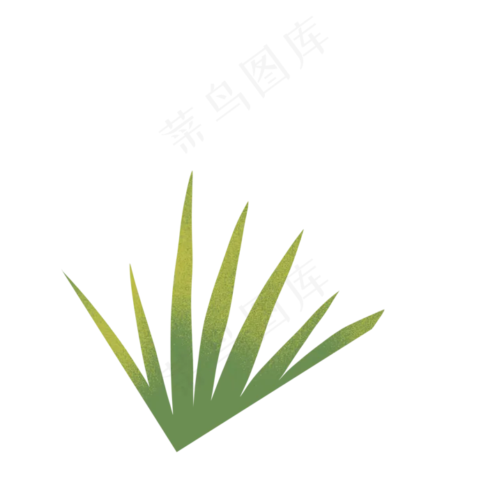绿色植物草叶下载(2000*2000px 300 dpi )psd模版下载