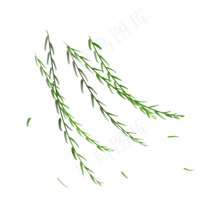 春分绿色小清新微风拂动柳树柳枝,免抠元素