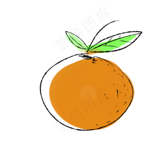 手绘橙黄色水果矢量图