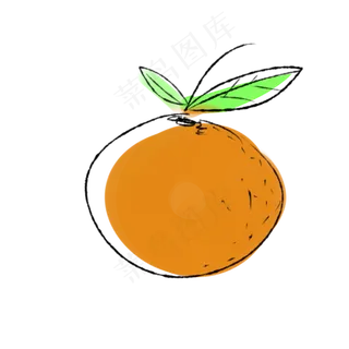 手绘橙黄色水果矢量图