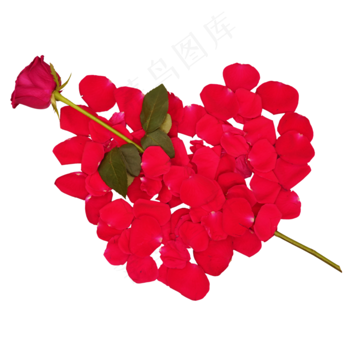 玫瑰花卉(3000X3000)