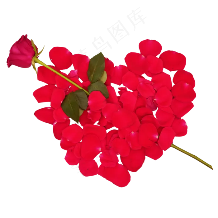 玫瑰花卉(3000X3000)