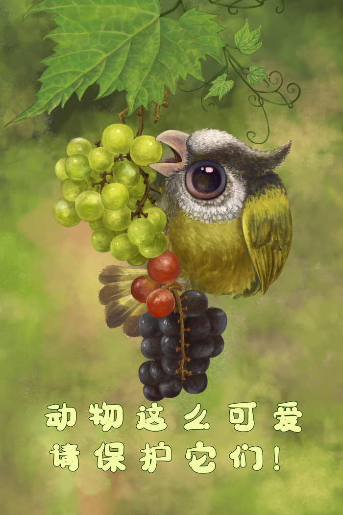 保护动物  小鸟  动物  爱护野生动物(3545*5315px 300 dpi )