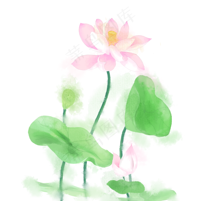 水墨水彩小清新荷花