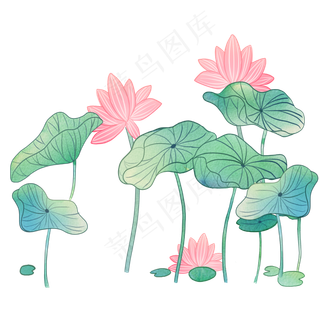 中国风小清新荷花