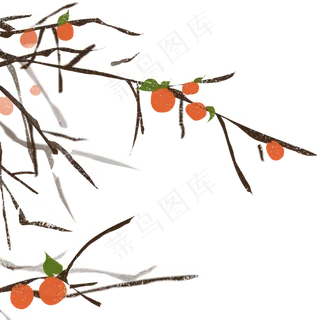 立秋手绘金黄的柿子,免抠元素