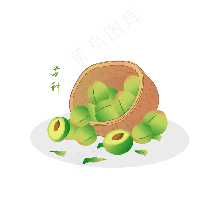 绿色的桃子(4167*4167px 300 dpi )ai矢量模版下载