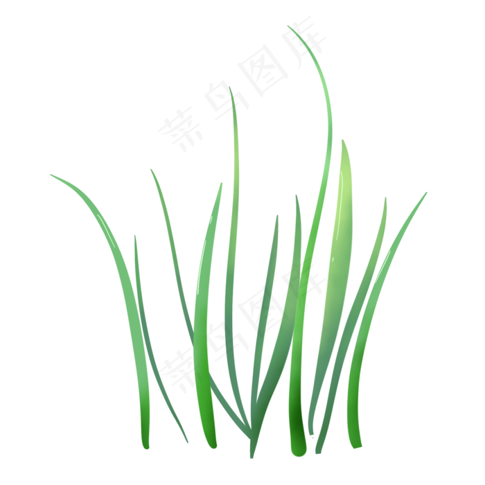 春天小清新绿色植物整簇草丛,免抠元素(2000X2000(DPI:300))psd模版下载