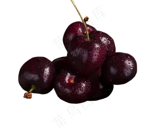 美味新鲜酸甜可口的樱桃