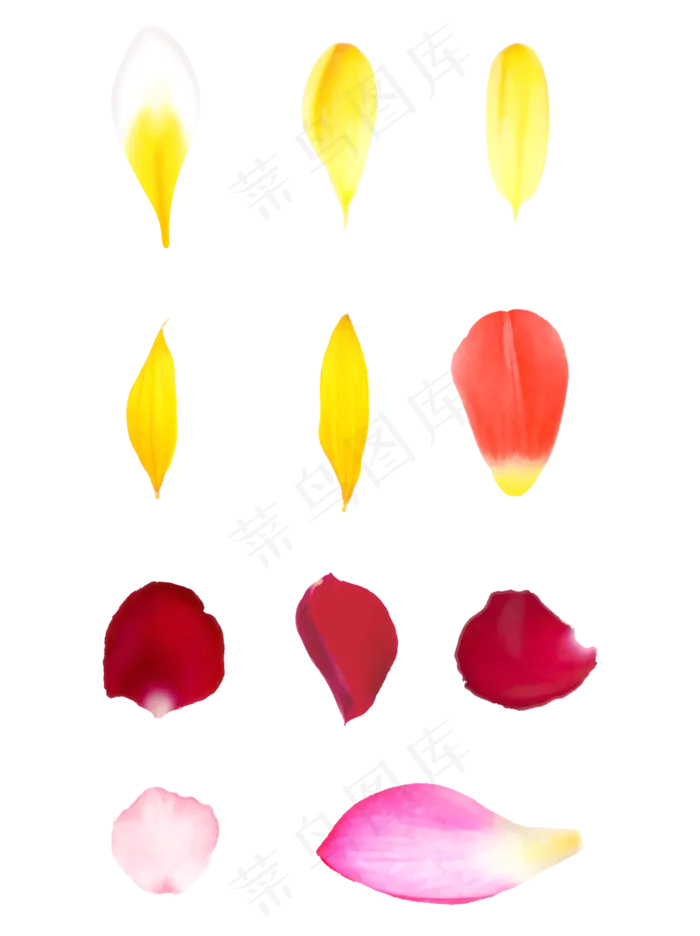 手绘黄色红色粉色花瓣套图唯美可(3072X4107(DPI:300))psd模版下载
