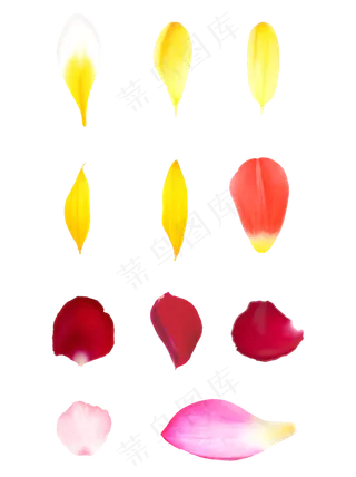 手绘黄色红色粉色花瓣套图唯美可