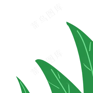 植物绿叶叶子