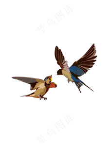 春分燕子免扣元素,免抠元素
