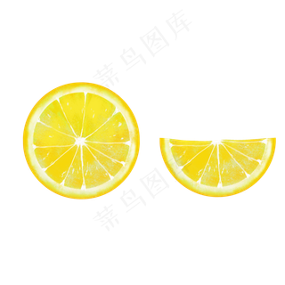 矢量手绘柠檬切片