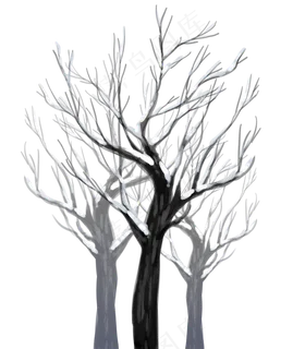 冬天树枝树干,免抠元素