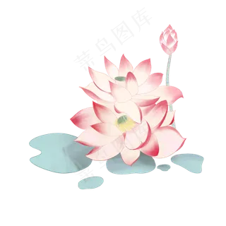 荷花图png下载