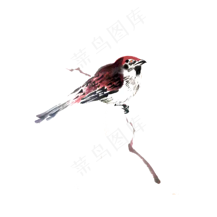 鸟雀红花鸟国画水墨PNG,免抠元素(2000X2000(DPI:300))psd模版下载