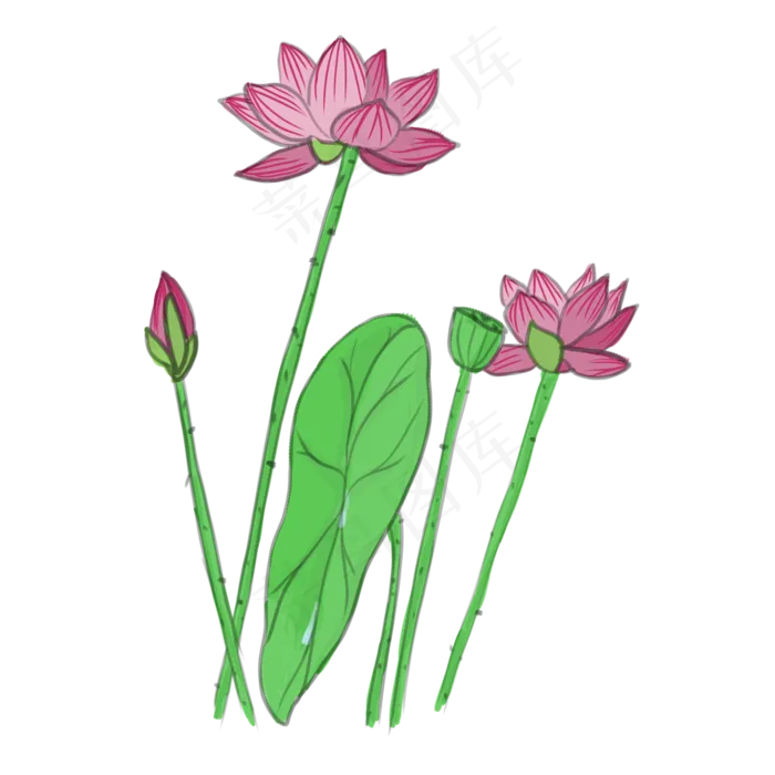 手绘中国风荷花PNG素材(2000X2000(DPI:300))psd模版下载