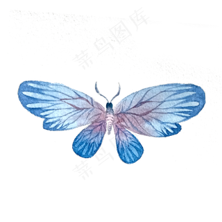 蝴蝶水彩翅膀昆虫PNG,免抠元素