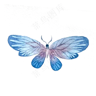 蝴蝶水彩翅膀昆虫PNG,免抠元素