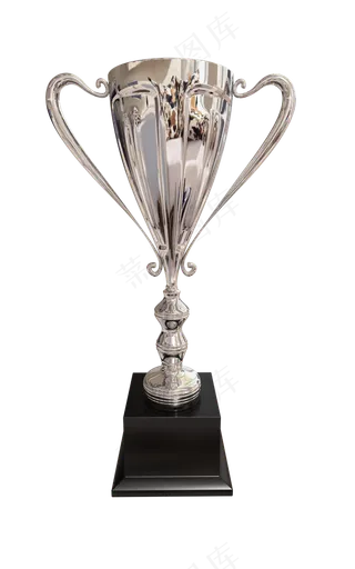 家居装饰品银质奖杯