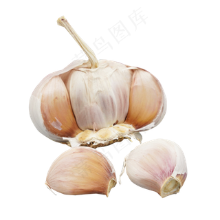 掰开的蒜头,免抠元素