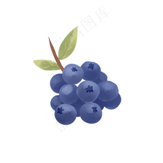 手绘水彩风蓝莓束