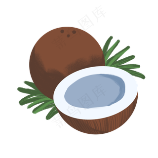 热带水果椰果