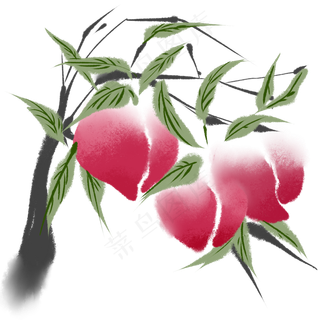 水彩水蜜桃桃树枝