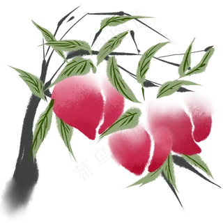 水彩水蜜桃桃树枝