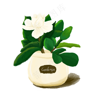 花卉白色绿色水墨手绘风栀子花盆