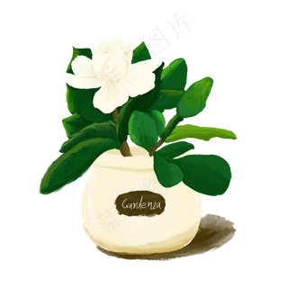 花卉白色绿色水墨手绘风栀子花盆