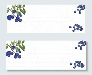 天猫淘宝蓝莓水果banner下载