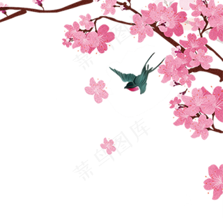 漂亮的植物叶子免抠图